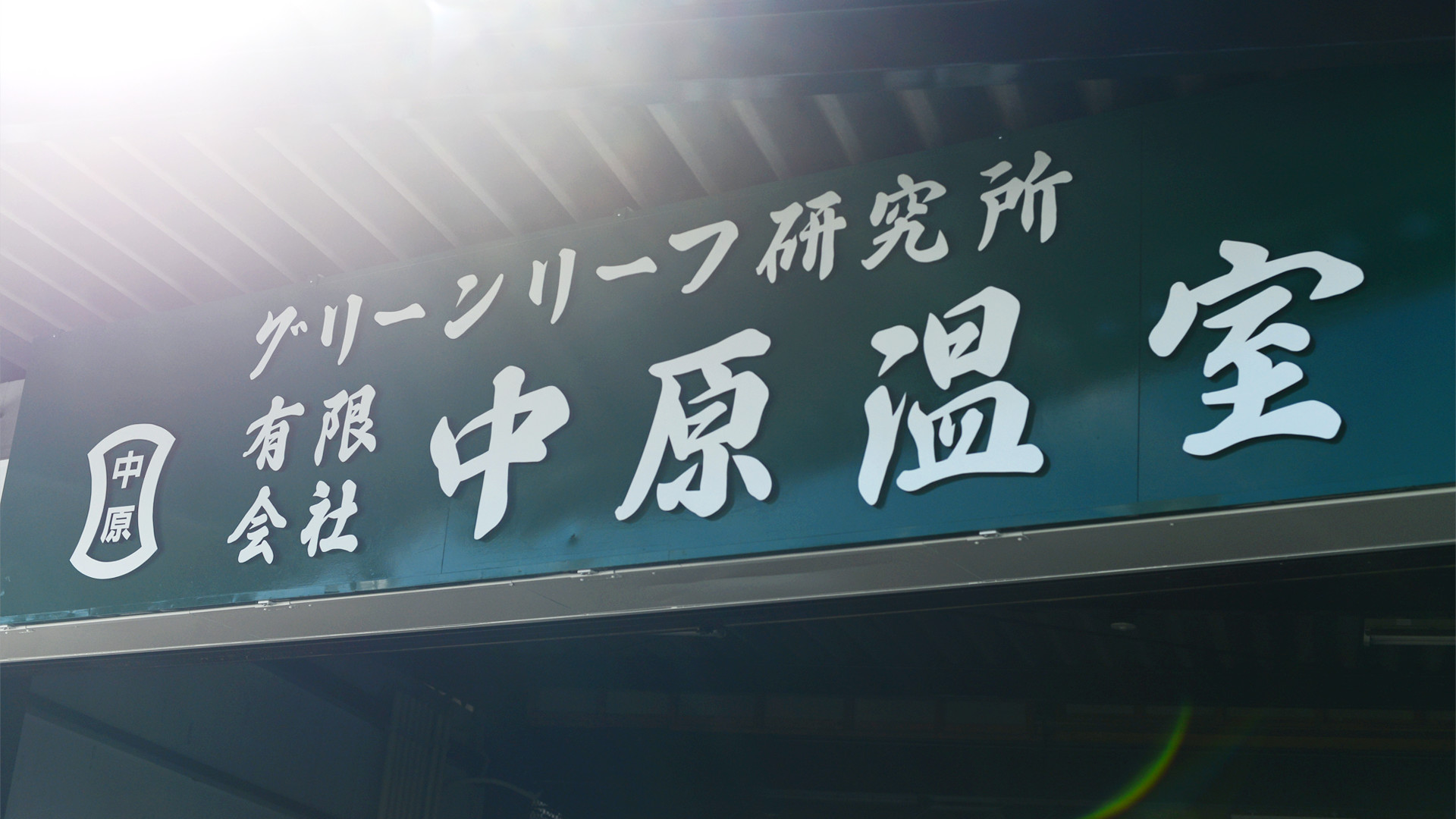 中原温室-背景1