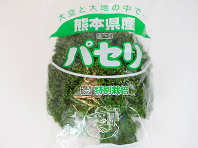 パセリ大袋